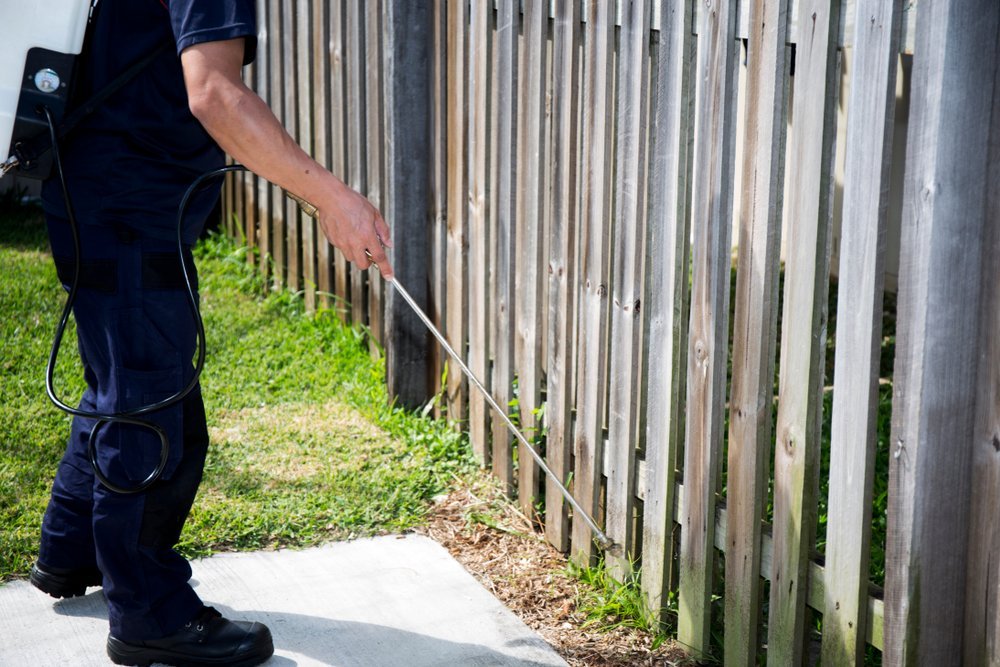 man spraying a fence line for bugs