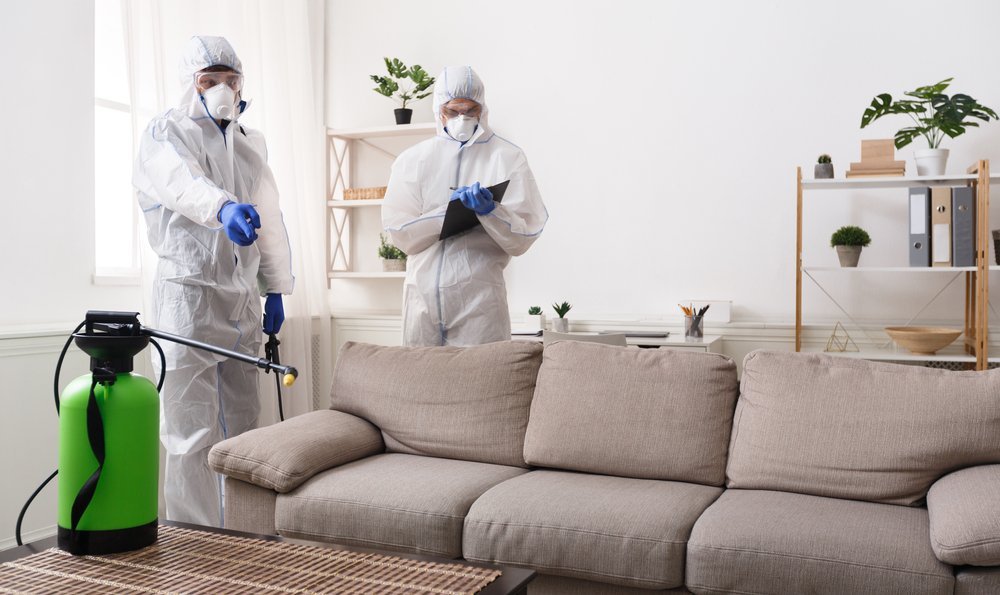 two exterminators praying a living room with a grey couch