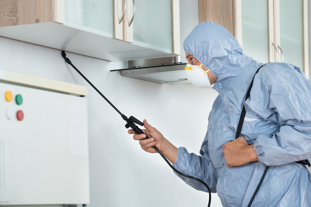 man spraying for bugs