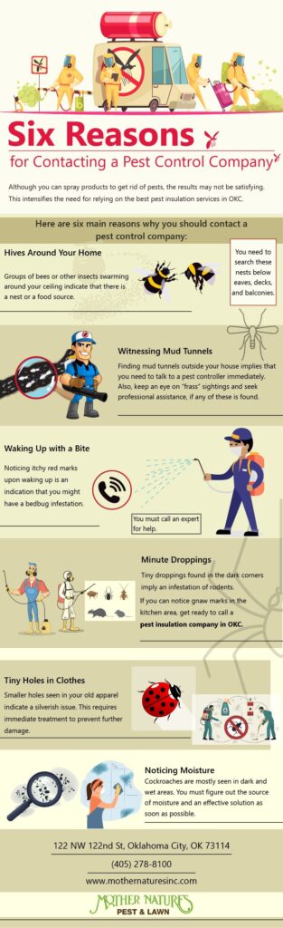 six reasons to contact a pest control company
