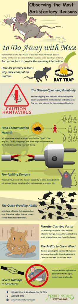 how to get rid of mice