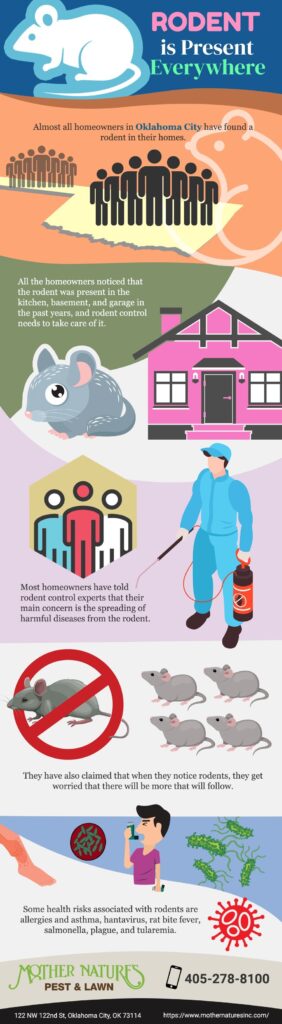 how to prevent rodents
