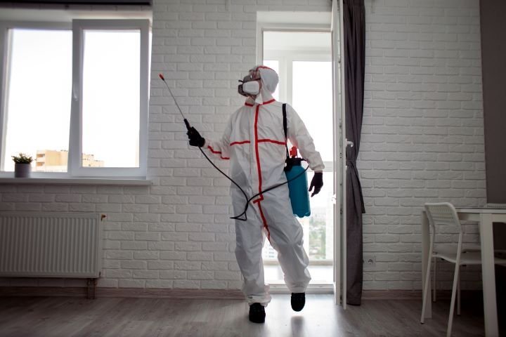 person spraying for bugs inside a home