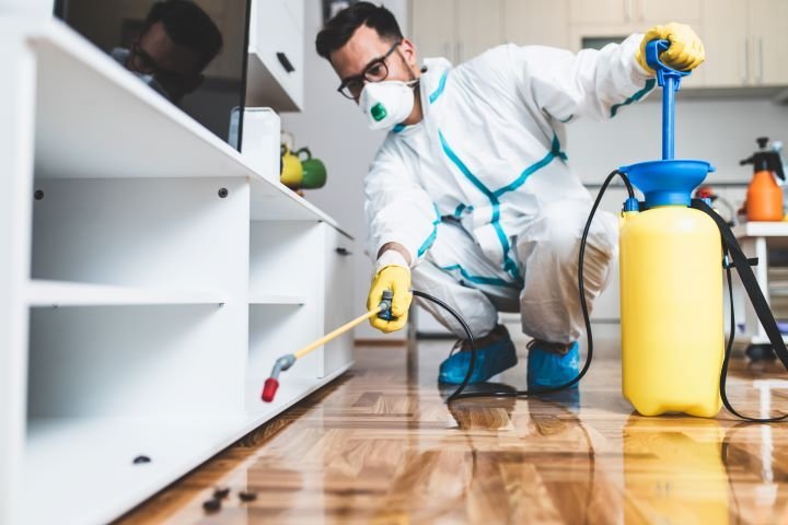 man spraying for bugs