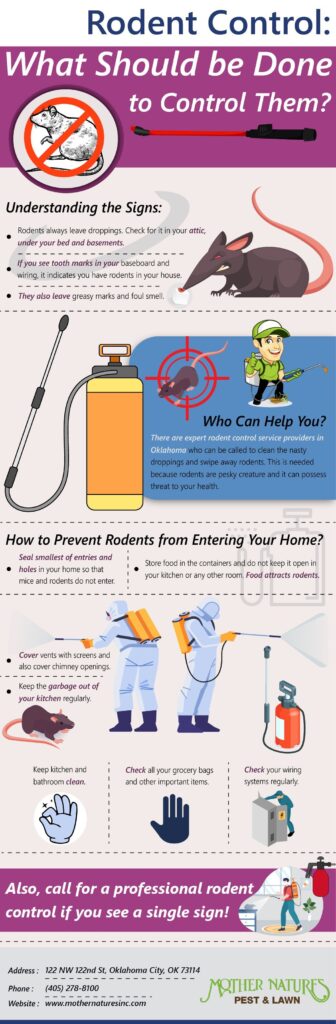 what can be done for rodent control