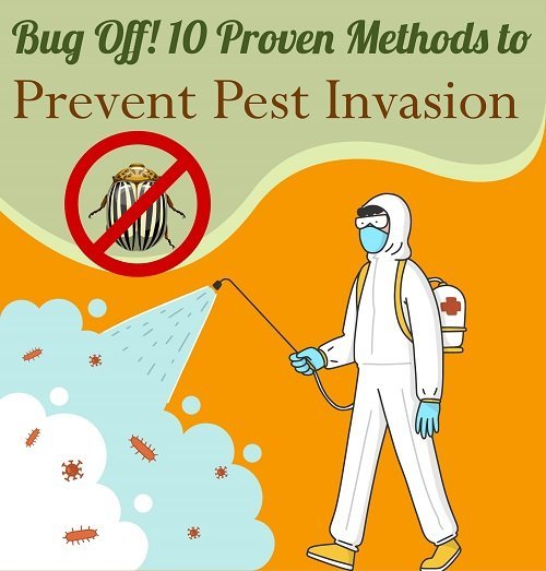 ten methods to prevent pest invasion