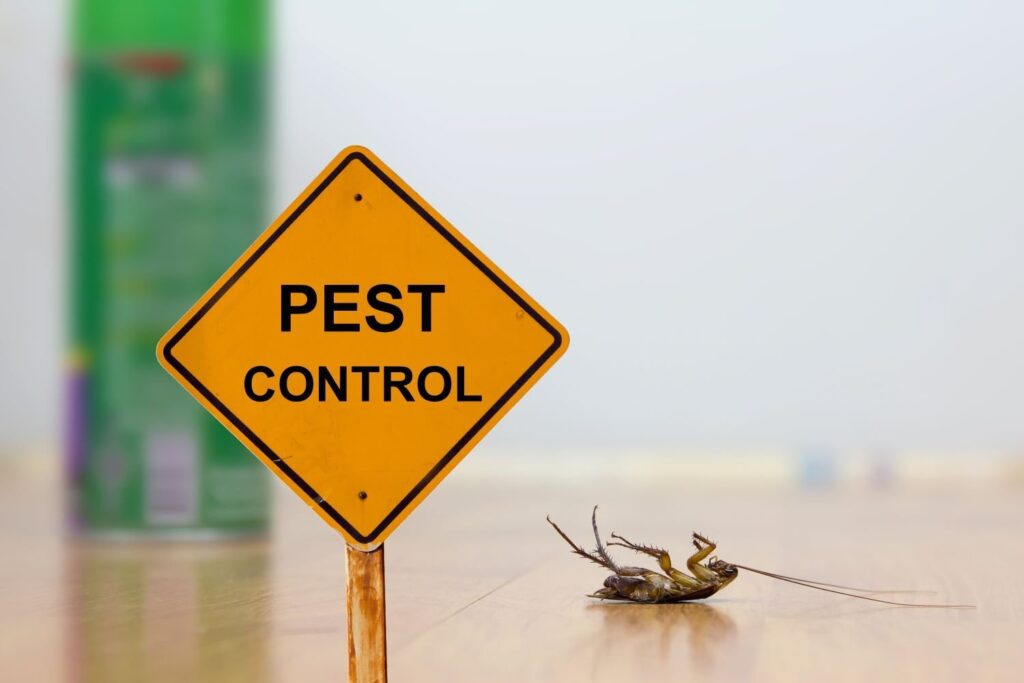 pest control sign with a dead bug beside it