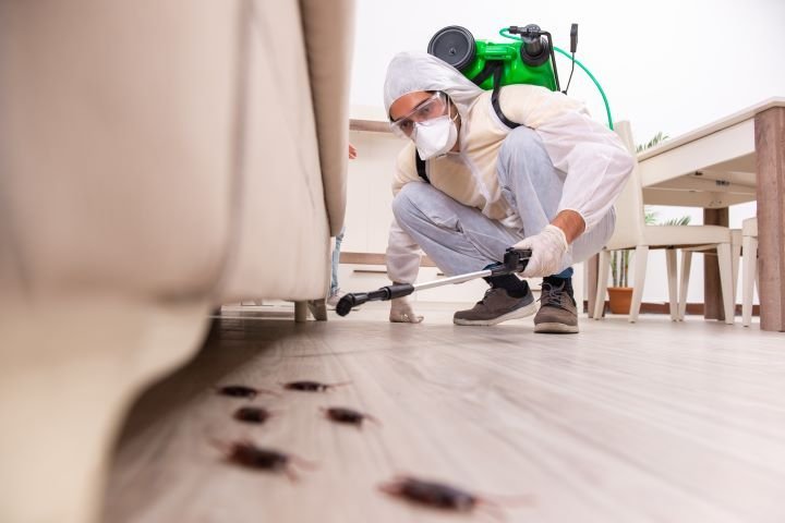 exterminator spraying for insects