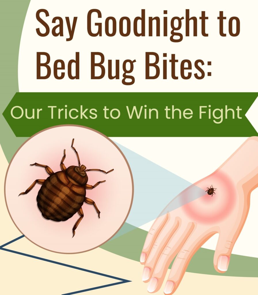 tricks to fight bed bugs