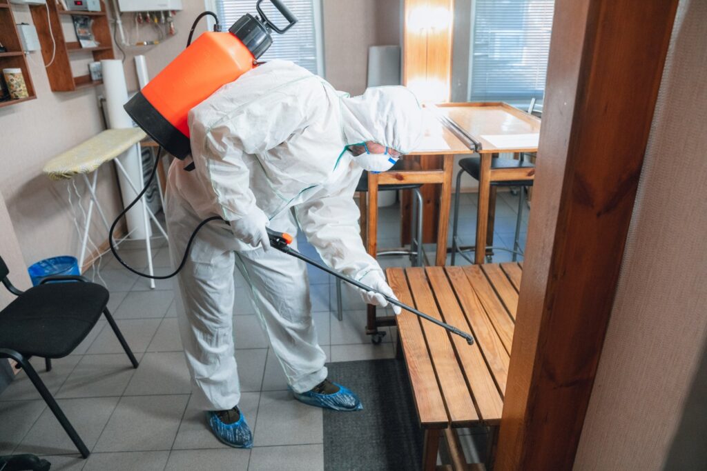 spraying for insects and pests