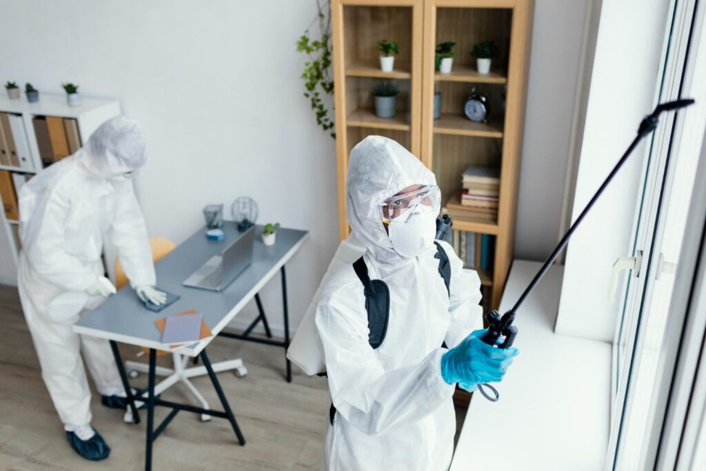 spraying for insects