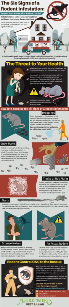 six signs of rodent infestation