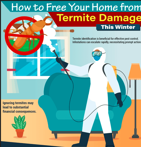 A person in protective gear sprays a home interior for termites. A large termite with a red no symbol is above. Text highlights termite damage risks and the importance of prompt pest control to avoid costly consequences.