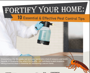 ten essential and effective pest control tips