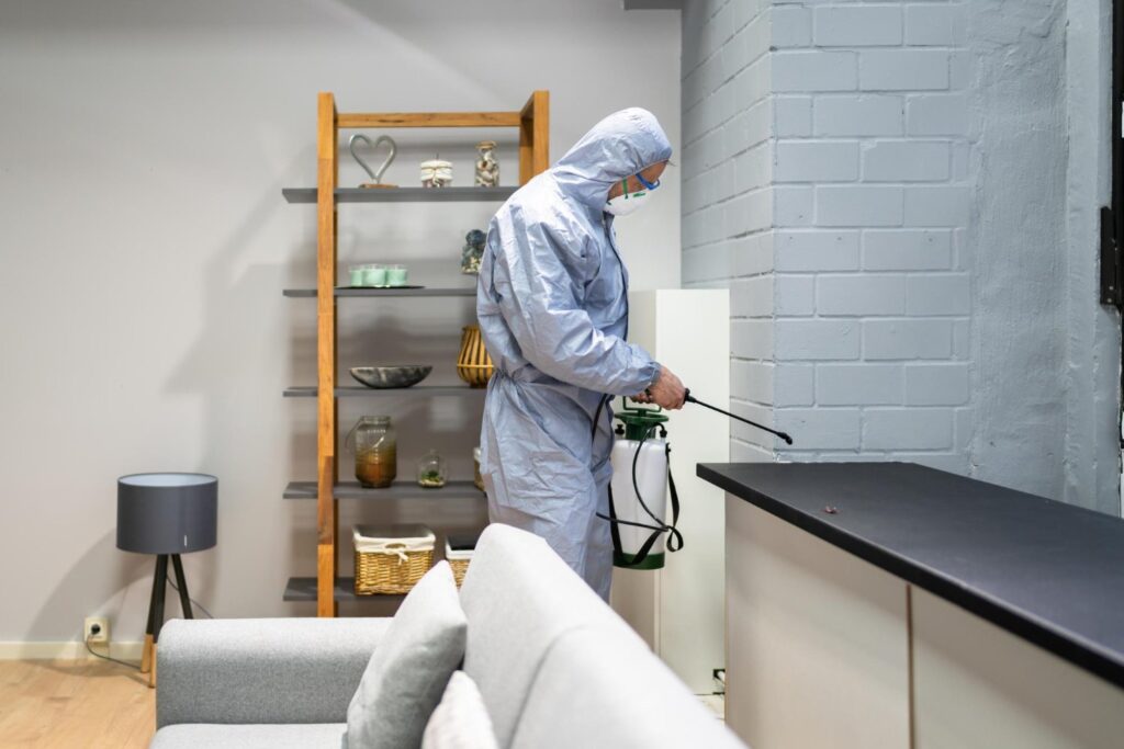 person spraying a countertop for bugs